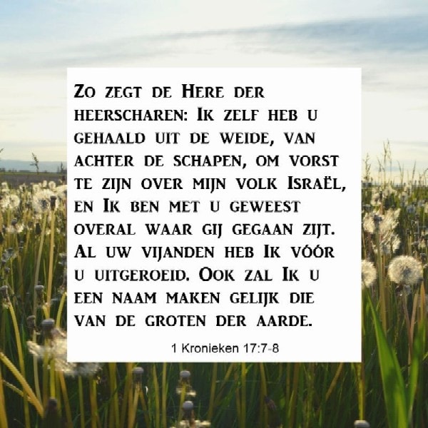 1 Kronieken 17:7-8