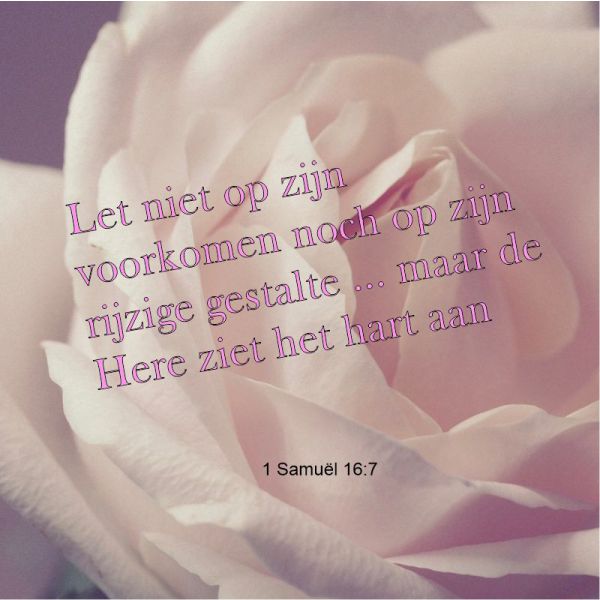 1 Samuel 16:7