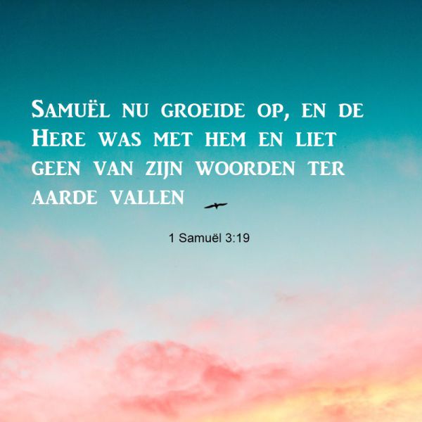 1 Samuel 3:19