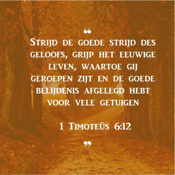 1 Timoteüs 6:12