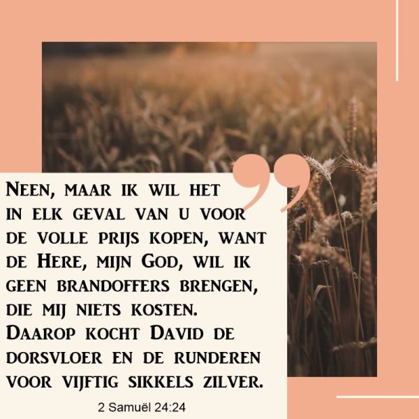 2 Samuël 24:24