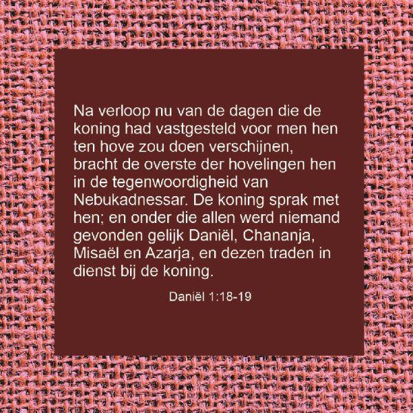 Daniel 1:18-19