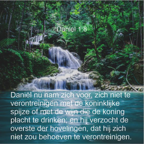 Daniel 1:8
