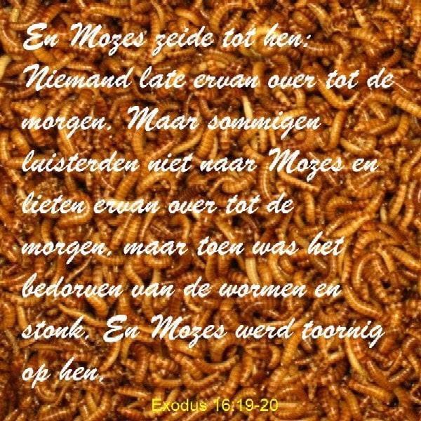 Exodus 16:19