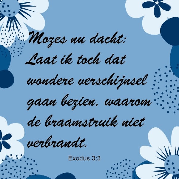 Exodus 3:3