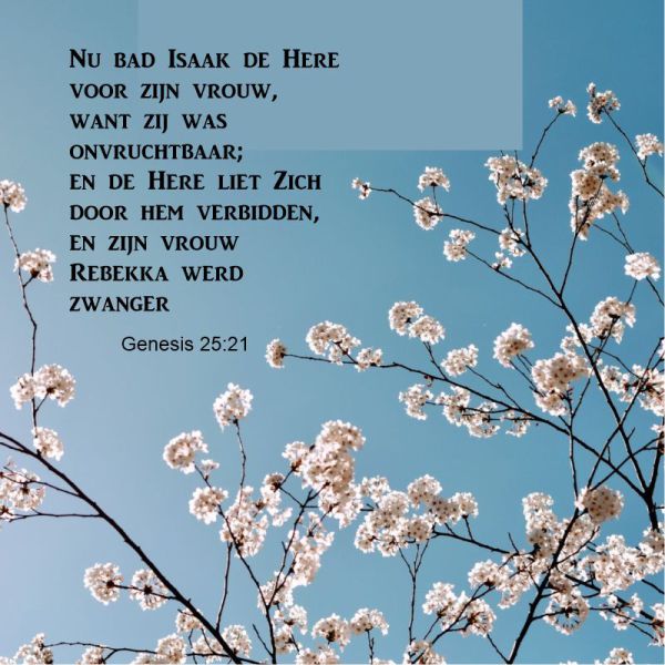 Genesis 25:21