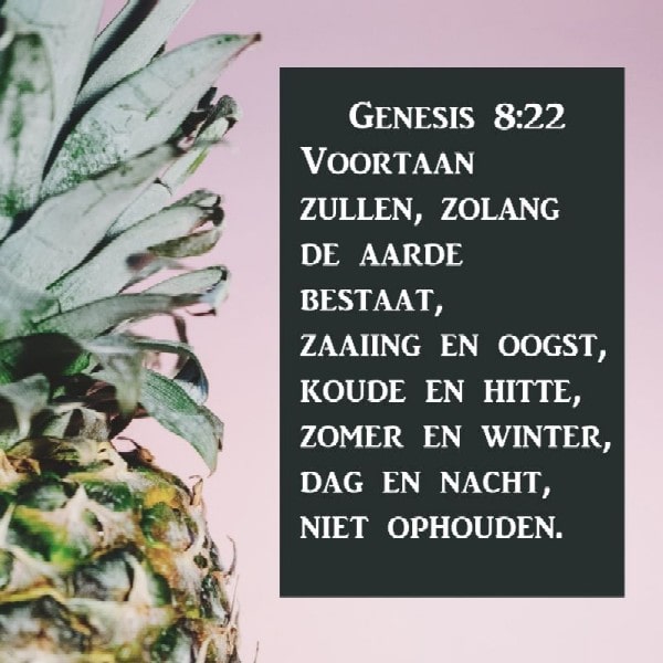 Genesis 8:22