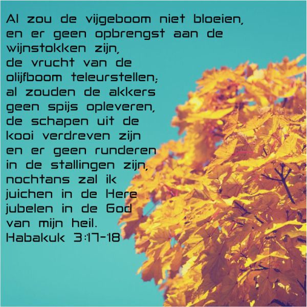 Habakuk 3:17