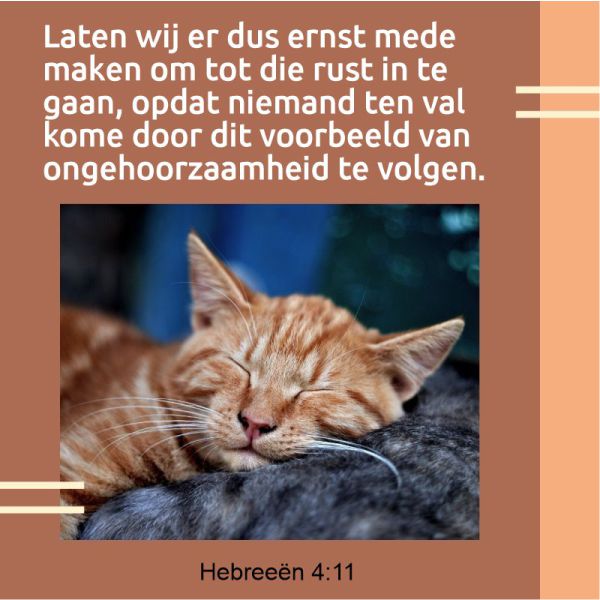 Hebreeën 4:11