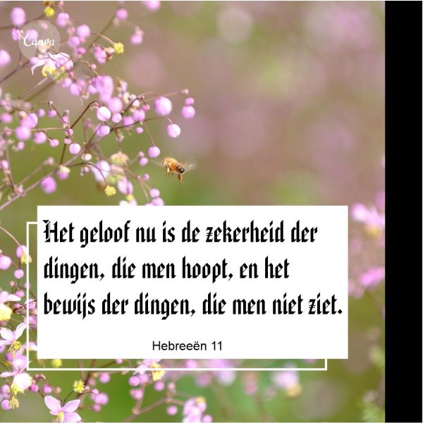 Hebreeën 11:1