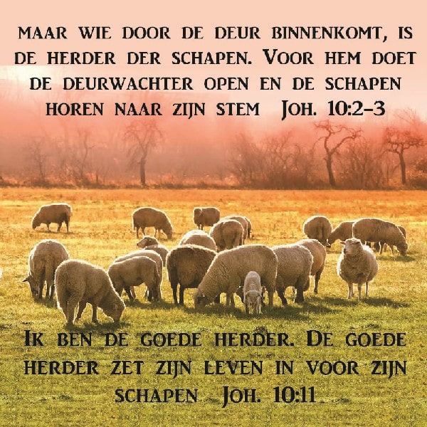 Johannes 10:2-3 en 11