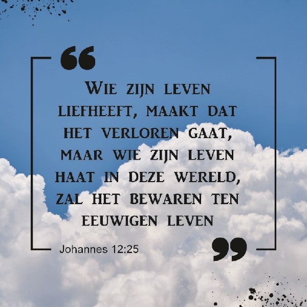 Johannes 12:25