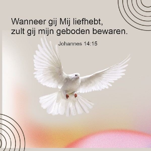 Johannes 14:15