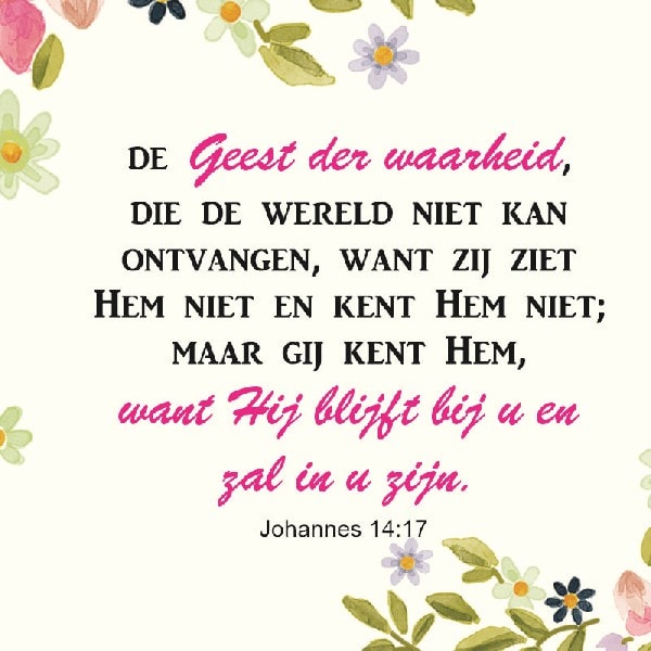 Johannes 14:17
