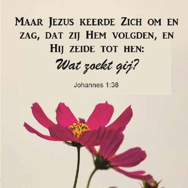 Johannes 1:38