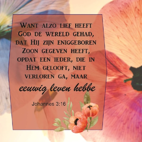 Johannes 3:16
