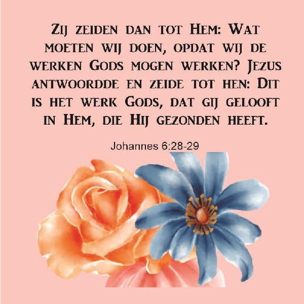 Johannes 6:28-29