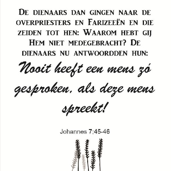 Johannes 7:45-46