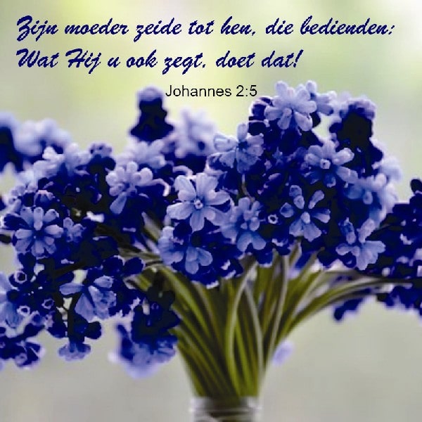 Johannes 2:5