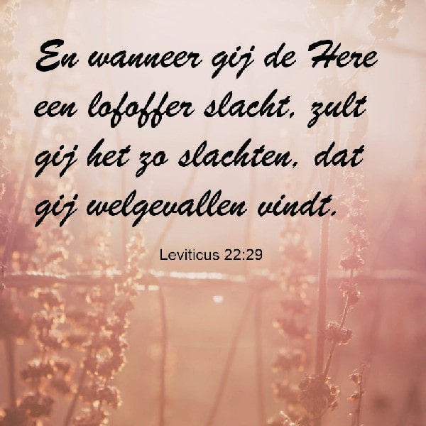 Leviticus 22:29