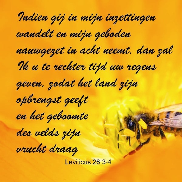 Leviticus 26:3