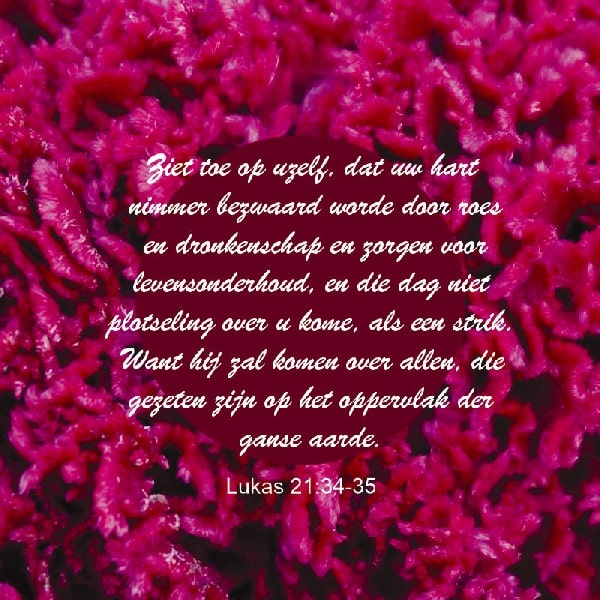 Lukas 21:34-35
