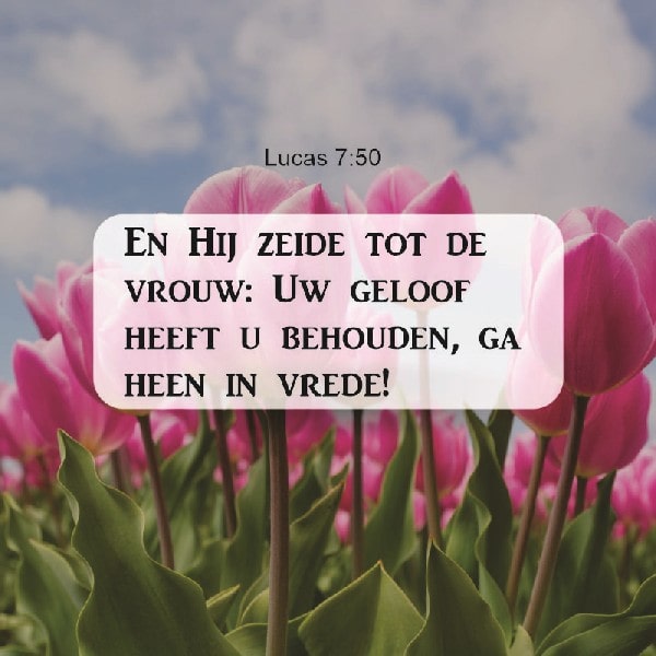 Lukas 7:50