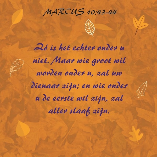 Marcus 10:43