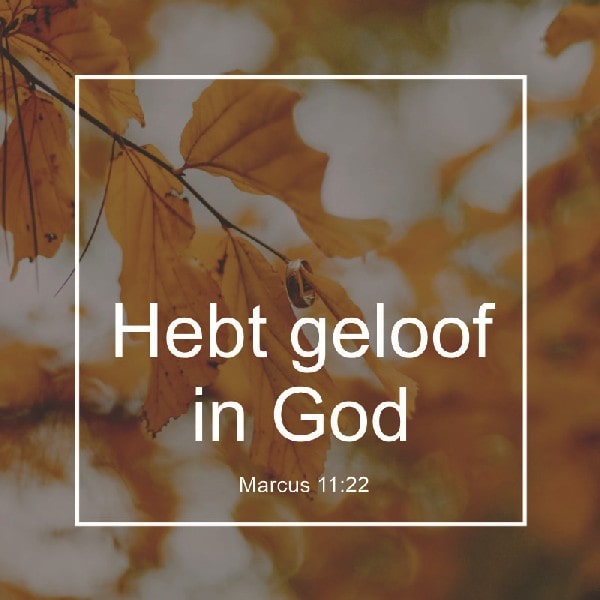 Marcus 11:22