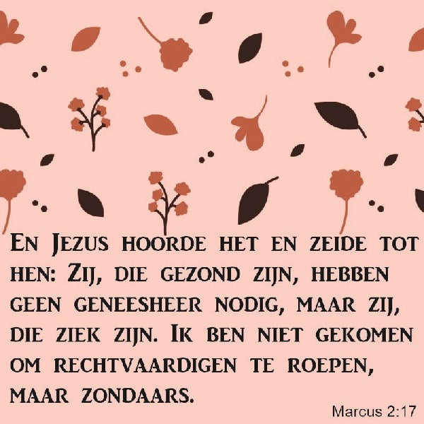 Marcus 2:17