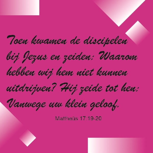 Mattheüs 17:19