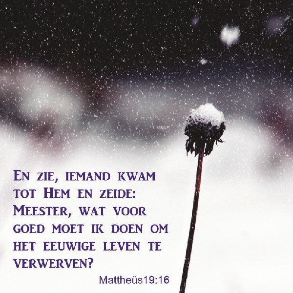 Mattheüs 19:16