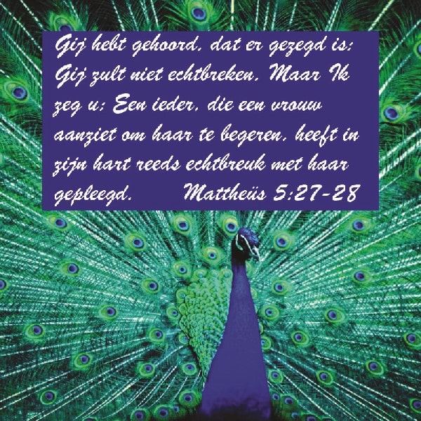 Mattheüs 5:27-28