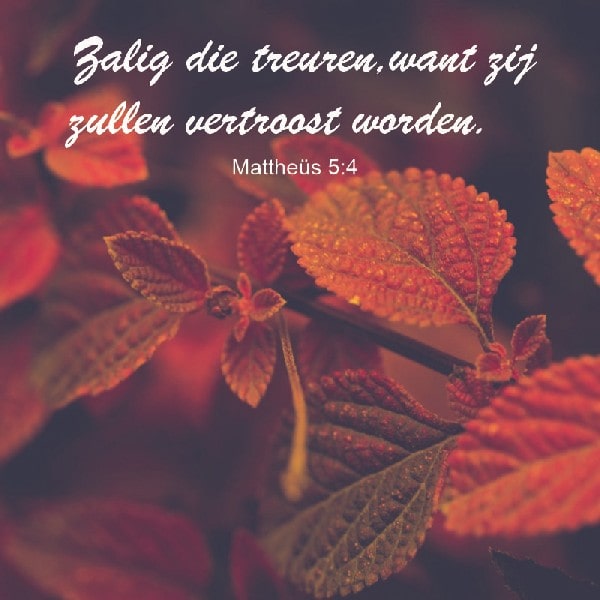 Mattheüs 5:4