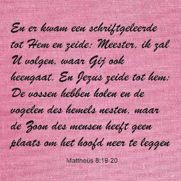 Mattheüs 8:19-20