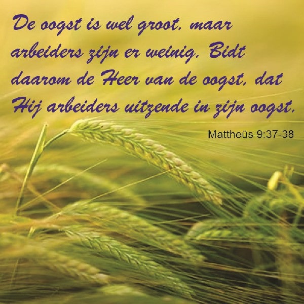 Mattheüs 9:37-38