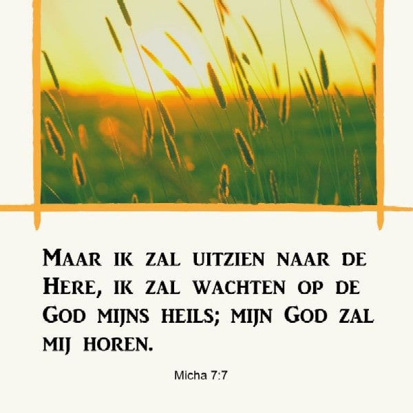 Micha 7:<