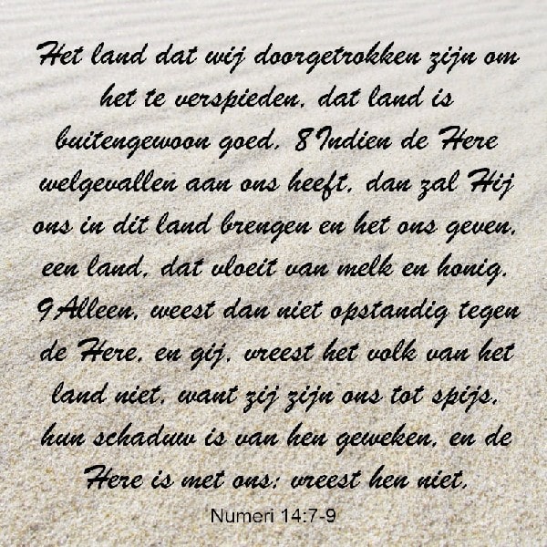 Numeri 14:7-9
