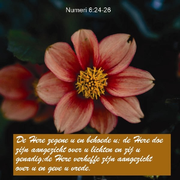 Numeri 6:24