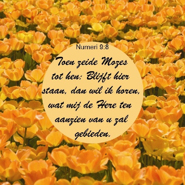 Numeri 9:8