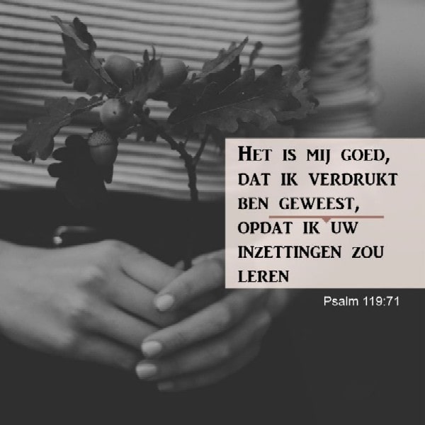 Psalm 119:71