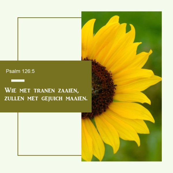 Psalm 126:52
