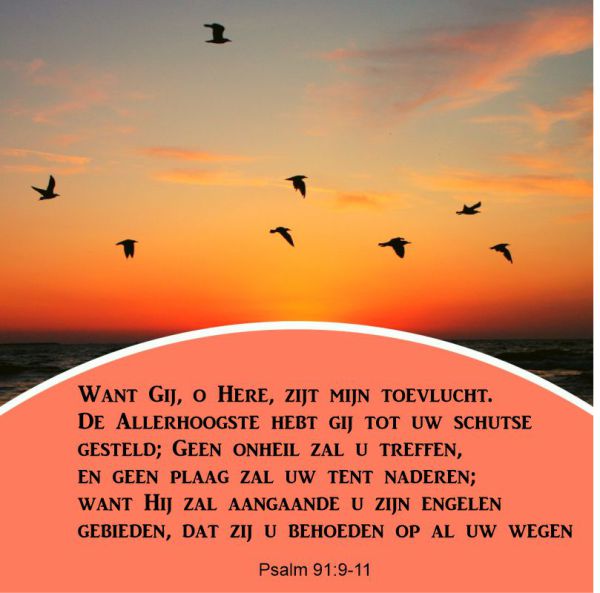 Psalm 91:9-11