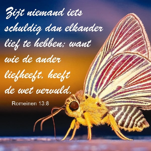 Romeinen 13:8