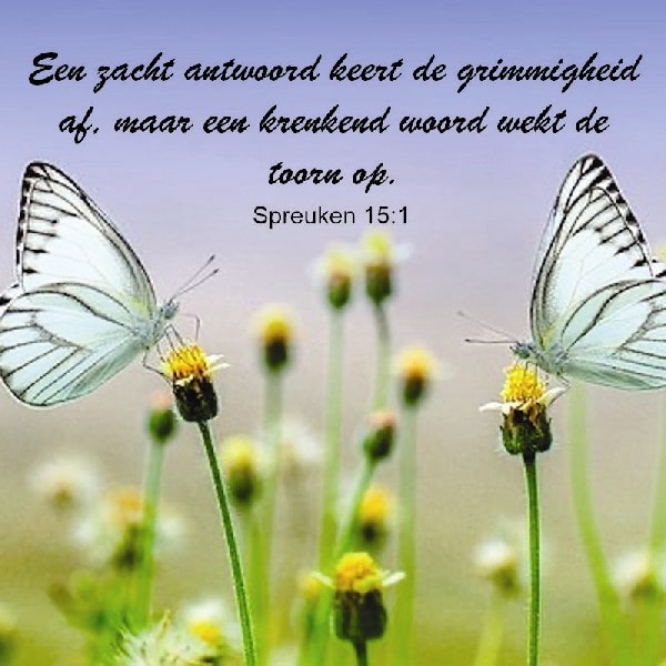 Spreuken 15:1