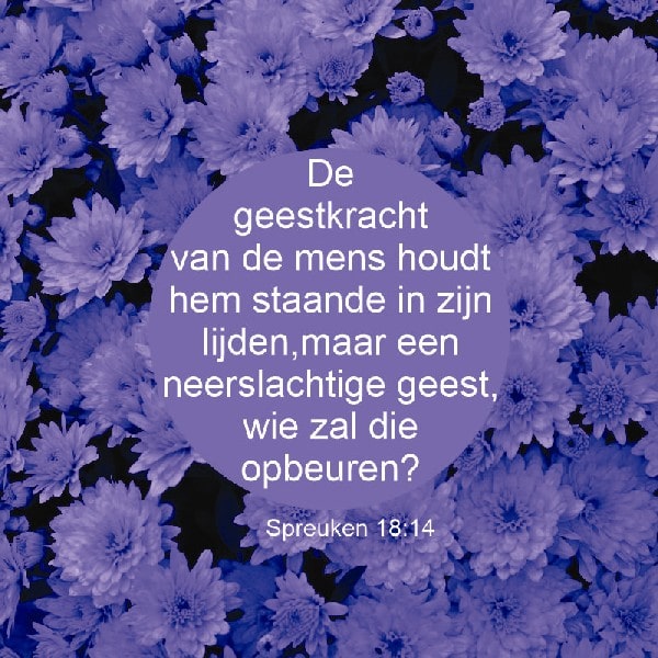 Spreuken 18:14