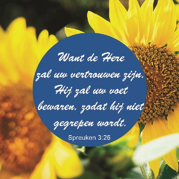 Spreuken 3:26