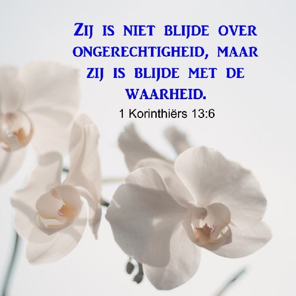 1 Korinthiërs 13:6