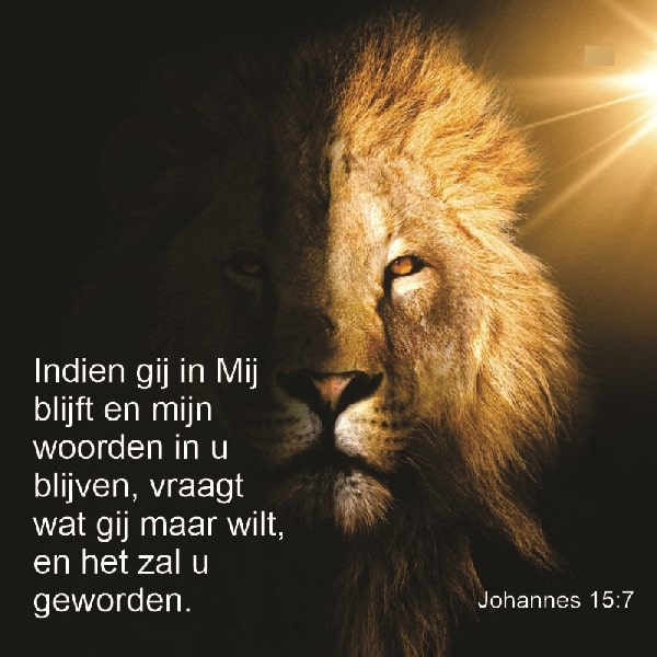 Johannes 15:7