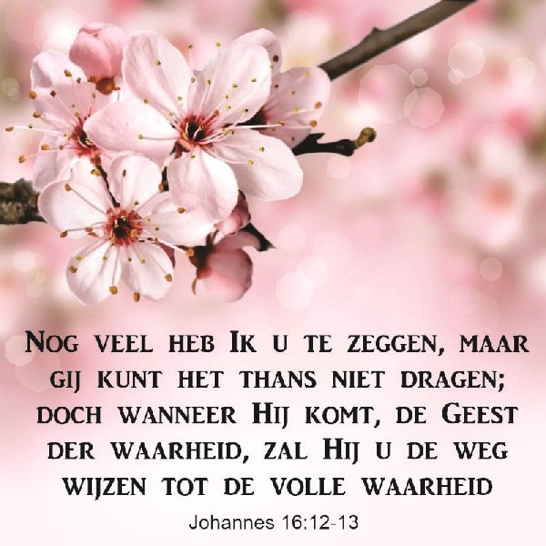 Johannes 16:12-13